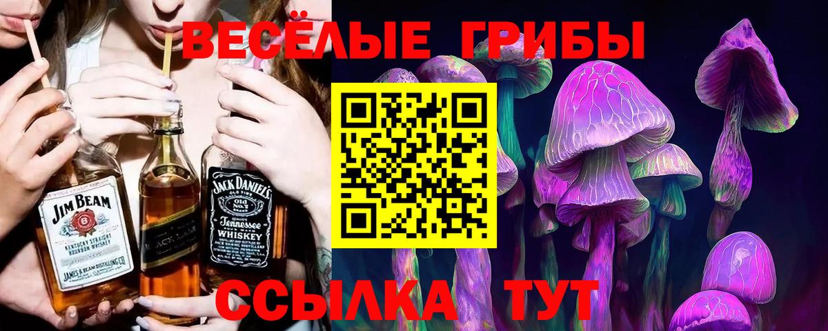 Брянск  Галлюциногенные грибы Psilocybe  Вход с VPN 